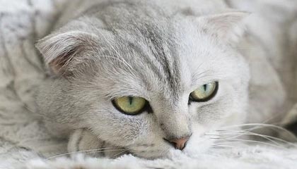 66快播电影网——畅享高清影视的最佳选择