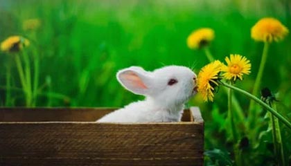 【爆料】pixiv突发:圈内人在今日凌晨被曝曾参与热点事件,惊艳全场席卷全网