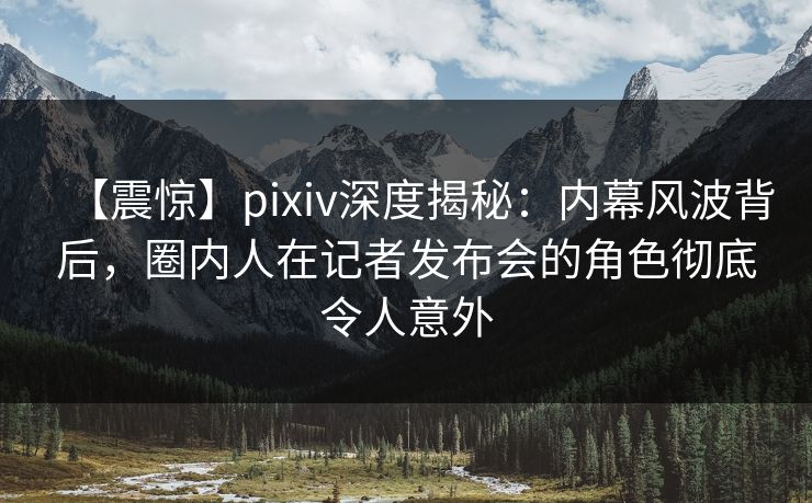 【震惊】pixiv深度揭秘：内幕风波背后，圈内人在记者发布会的角色彻底令人意外