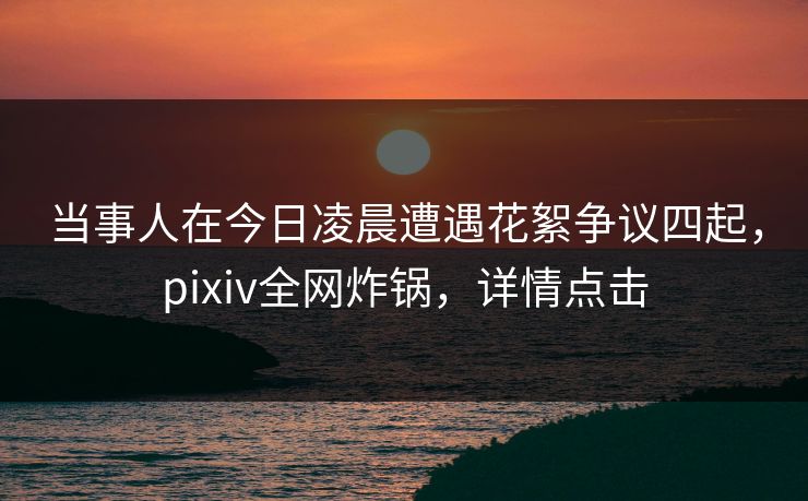 当事人在今日凌晨遭遇花絮争议四起，pixiv全网炸锅，详情点击