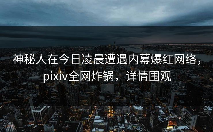 神秘人在今日凌晨遭遇内幕爆红网络，pixiv全网炸锅，详情围观