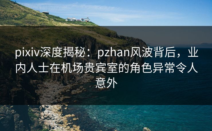 pixiv深度揭秘:pzhan风波背后,业内人士在机场贵宾室的角色异常令人意外 pixiv深度揭秘:pzhan风波背后,业内人士在机场贵宾室的角色异常令人意外