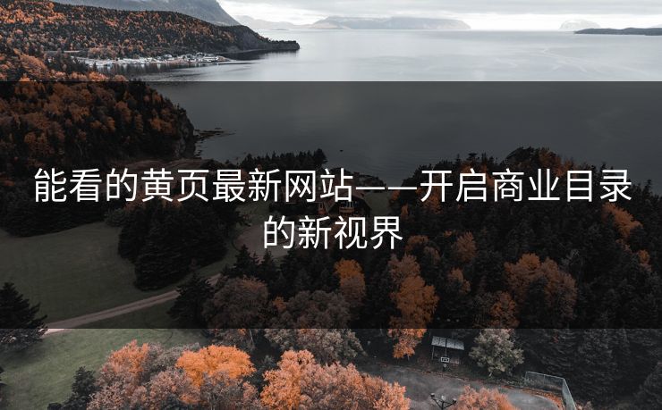 能看的黄页最新网站——开启商业目录的新视界