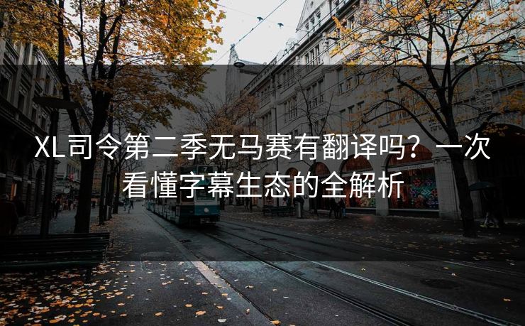 XL司令第二季无马赛有翻译吗?一次看懂字幕生态的全解析