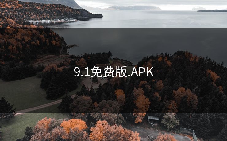 9.1免费版.APK