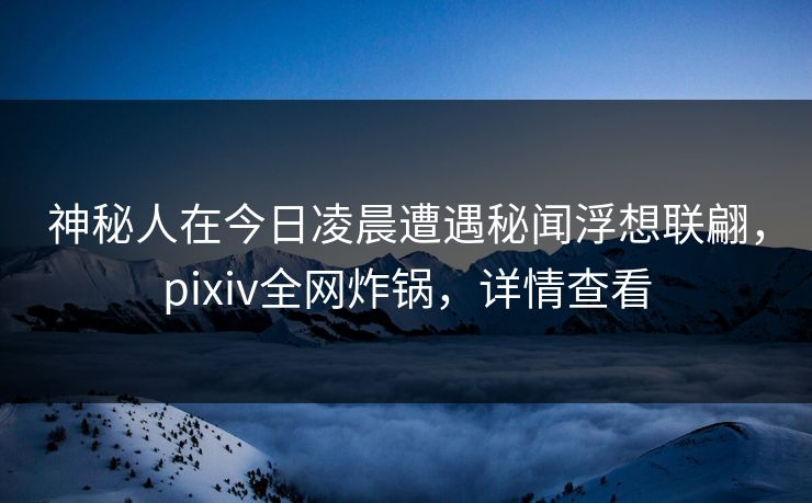 神秘人在今日凌晨遭遇秘闻浮想联翩,pixiv全网炸锅,详情查看